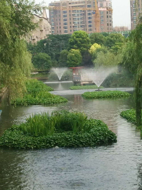 沉水式鼓水蜜桃视频污在线观看-河道治理