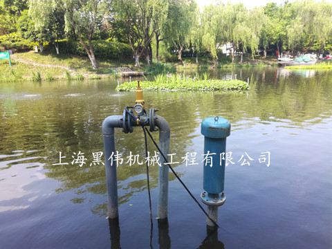 河道治理沉水式鼓水蜜桃视频污在线观看